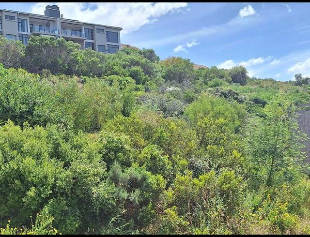 LAND FOR SALE IN ISLAND VIEW
